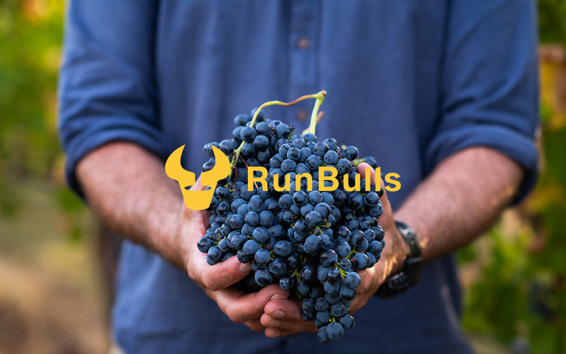 RunBulls2.jpg
